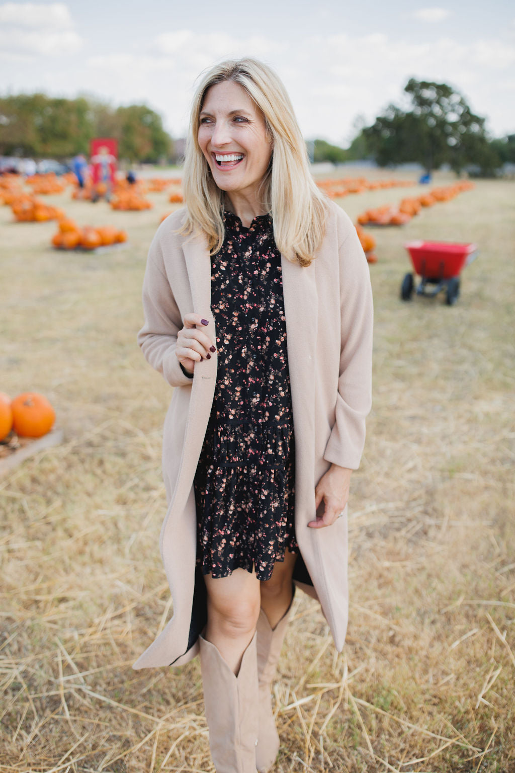 Mason Knit Coat, Classic Camel