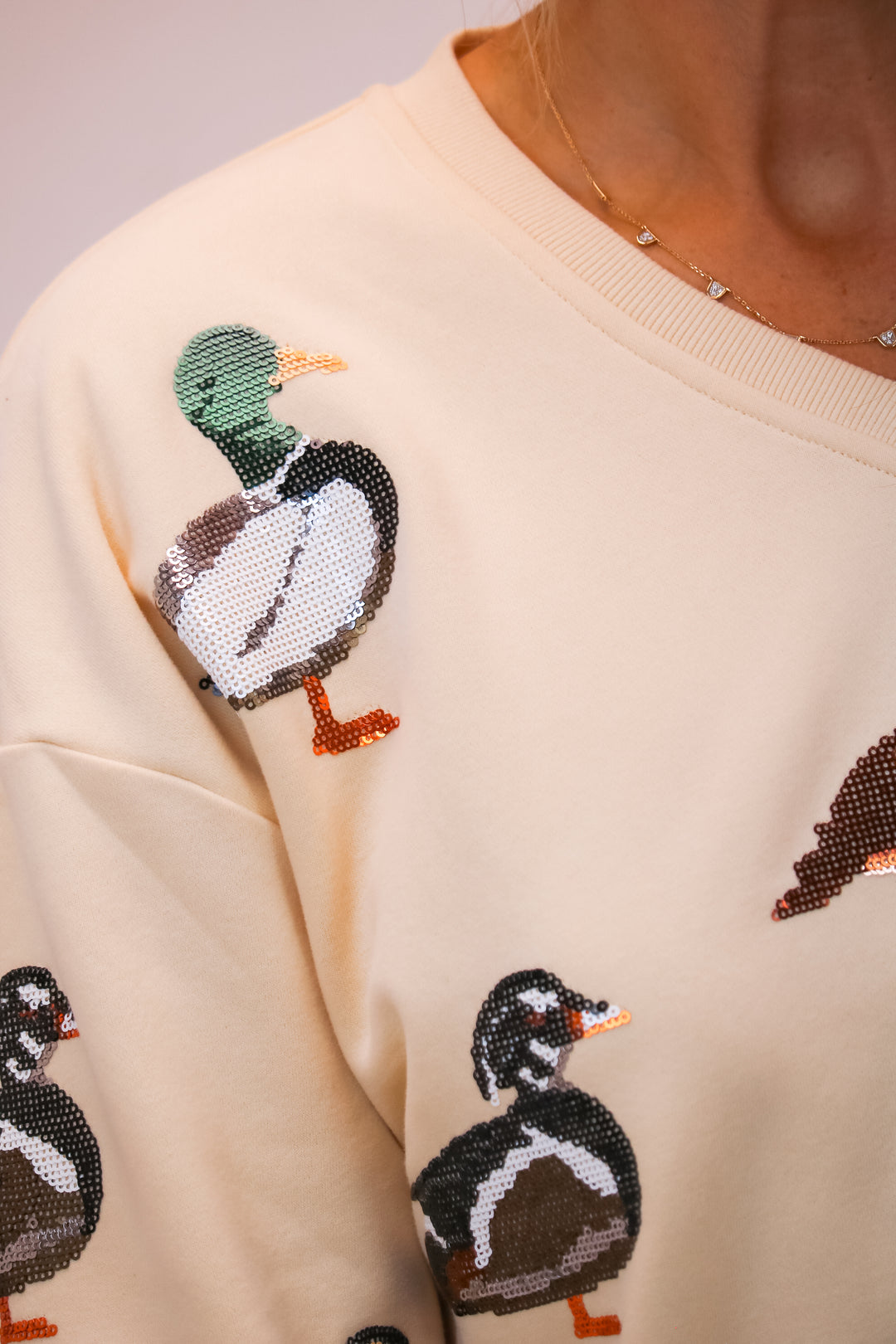 Beige V Neck Scattered Duck Sweatshirt