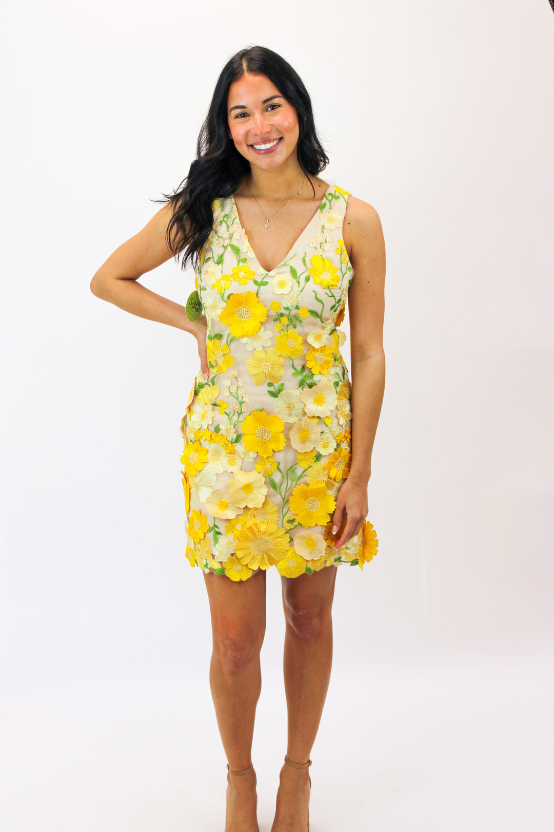 Aisha Floral Appliqué Mini Dress, Yellow Floral