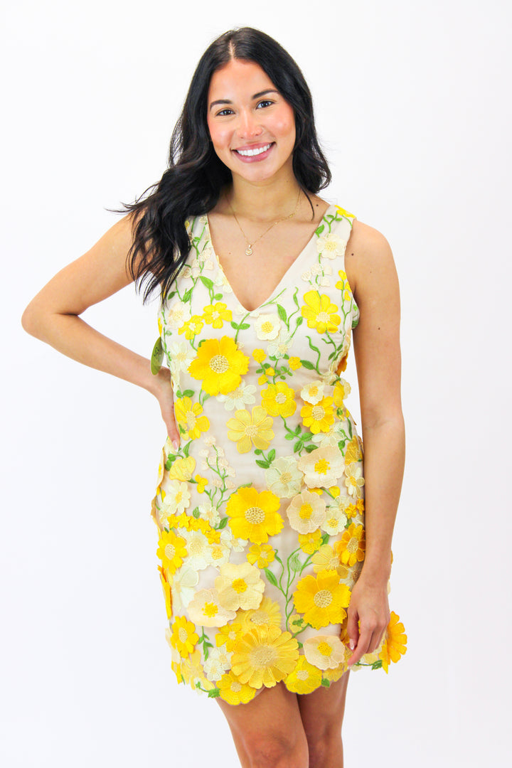 Aisha Floral Appliqué Mini Dress, Yellow Floral