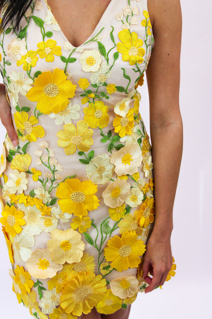 Aisha Floral Appliqué Mini Dress, Yellow Floral