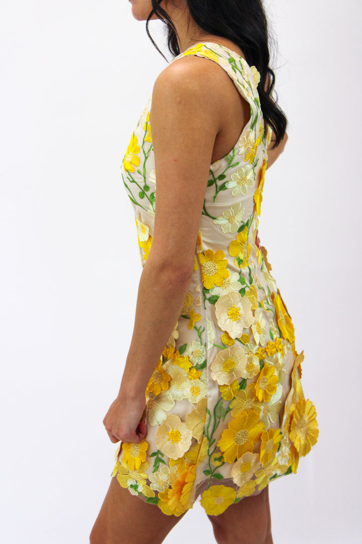 Aisha Floral Appliqué Mini Dress, Yellow Floral