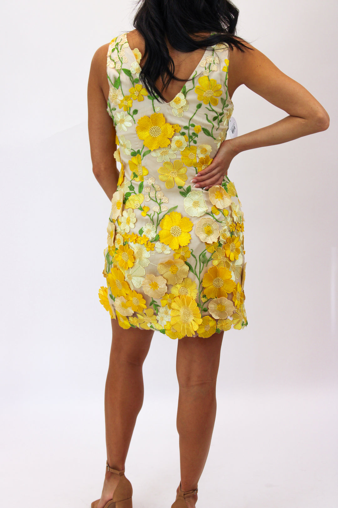 Aisha Floral Appliqué Mini Dress, Yellow Floral