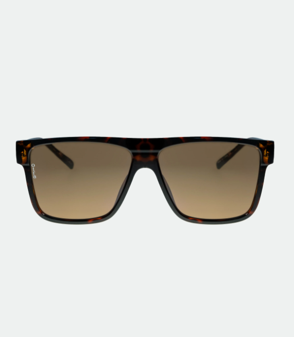 Amos Sunglasses, Tort/Brown