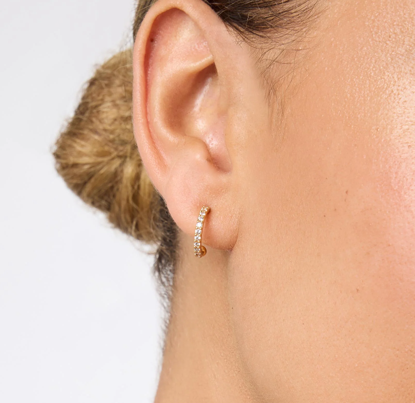 Laurel Hoop & Charm Earring