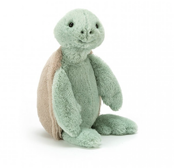 Bashful Turtle, Medium