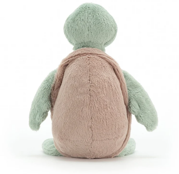 Bashful Turtle, Medium