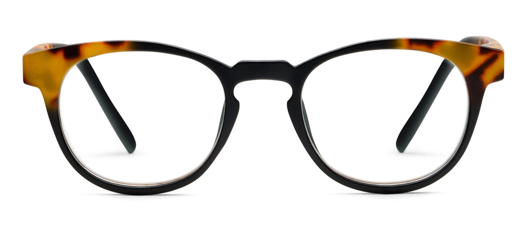 Chester (Blue Light), Black/Tokyo Tortoise