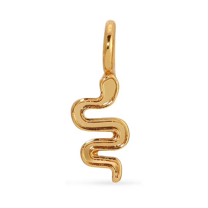 Charm Garden Snake Charm